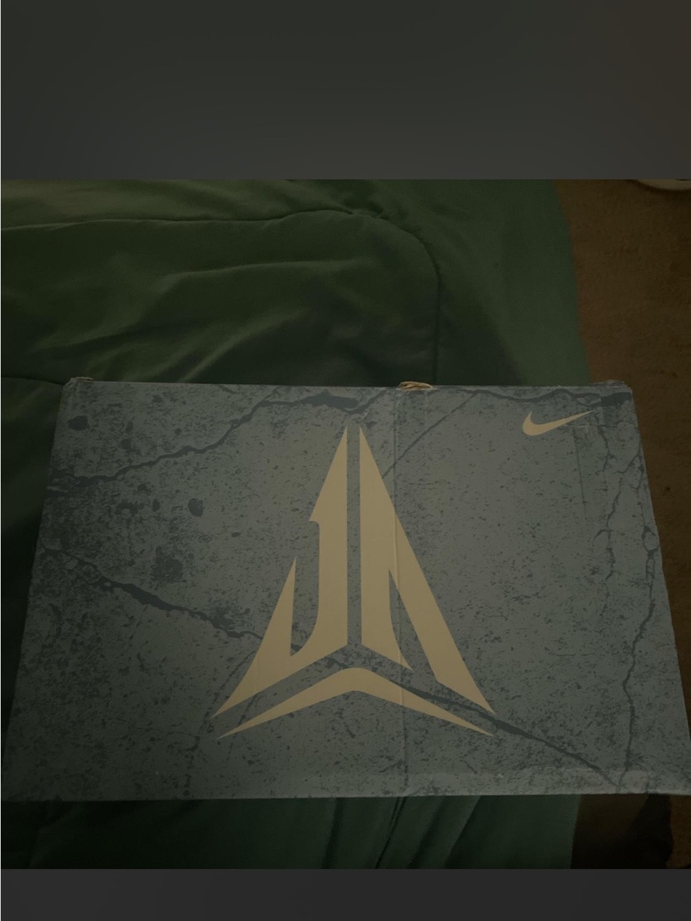 Nike Blue Shoe Box with White Emblem